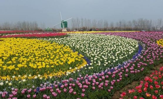 Ons producten aanbod